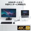 USB-5TCHLP7S-1 ドッキングハブ USB TypeC サンワサプライ 74996839