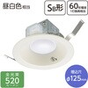 LT-D1206111-N LEDダウンライト 埋込穴Φ125 SB形 60形相当 オーム電機 75075151