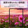 75079288