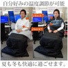 TX-701 qpzc! ˂Ԃ Bears Rock 75087776