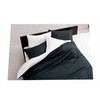 2187-01472   Color~color ME00 n ~ӂƂJo[  VO  75133678