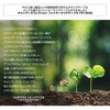 FST-5040 t@C[TChe[u YAMAZEN(RP) 75135613