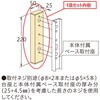 75143923