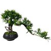 art-LM1 フェイクグリーン 盆栽 松1「小龍」 幹は天然木、葉と枝はフェイクのハイブリッド エルブレイン 75153131