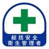 75165937