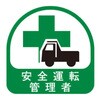 75166131