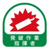 75166156