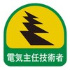 75166217