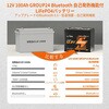 LiT-12V100Ah-HT Li Time 12V100Ah Bluetooth&�q�[�^�[�t���o�b�e���[ LiTime 75183005