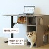 LCD-1000-GY 猫ハウスデスク BIBILAB 75186417