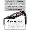 94201-0199 PANGAEA(パンゲア) パンクしない折りたたみ自転車 FDB206-NP TOUGH PANGAEA(パンゲア) 75232590