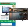 TV用 液晶保護フィルム オリオン OLS24WD10A 24インチ テレビ 対応 ブルーライトカット 反射防止 互換品 メディアカバーマーケット