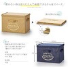 1009305 フタ付整理箱2個set アイメディア 75257020