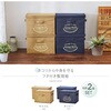 1009305 フタ付整理箱2個set アイメディア 75257020