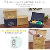1009305 フタ付整理箱2個set アイメディア 75257020
