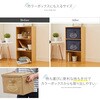 1009305 フタ付整理箱2個set アイメディア 75257020