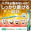 06S ガム プレミアムブラシ 各種 SUNSTAR(サンスター) 75270548