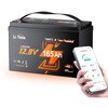 LiT-12V165Ah-DP LiTime 12V165Ah Bluetooth付き&ヒーター付き船外機バッテリー LiTime 75281757