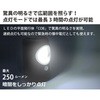 75317656