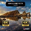 41511 HDMI中継アダプタ LINDY 75321097