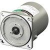 5IK40GV-EC �C���_�N�V�������[�^�[ KII�V���[�Y(�V�X�^���_�[�h) �I���G���^�����[�^�[ 75339279