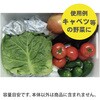 11100450 発泡箱 石山 75372678