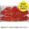 11102300 発泡箱 石山 75372730