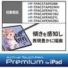 P-TIPACSTAP02BK タッチペン スタイラスペン 交換用ペン先 P-TPACSTAP02シリーズ 専用 エレコム 75401498