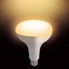LDR8CW レフ形LED調色付 YAZAWA(ヤザワコーポレーション) 75412535