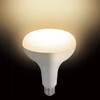 LDR8CW レフ形LED調色付 YAZAWA(ヤザワコーポレーション) 75412535