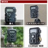 SD4000 綺麗撮影センサ―カメラ リーベックス 75416681