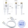 500-AT005K 分配器 アンテナ用 サンワダイレクト 75418187