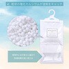 730-74 除湿パック Moisture Absorber 10Set アストロ 75424040
