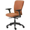 JC-FT220FN-F1(BK/VT71) Tryfitチェア くろがね工作所 75438530