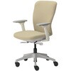 JC-FT220FN-F1(WH/HJ81) Tryfitチェア くろがね工作所 75438715