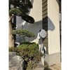SVS-810WA 屋外用自動巻き散水ホースリール TRIENS 75450247