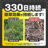 75450306