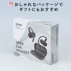 400-BTTWS7 ヘッドセット Bluetooth 5.4 サンワダイレクト 75461806