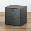 100-CUBEF4BK 収納ボックス キューブ型 引き出し2段 サンワダイレクト 75461989