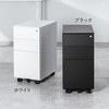 100-SNW029W キャビネット サンワダイレクト 75462068