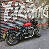 MTE179 スラッシュカットマフラー MAYHEM モートーン 75479681