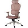 477456 ホーネット 関家具(Contieaks/コンティークス) 75493446
