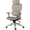 477457 ホーネット 関家具(Contieaks/コンティークス) 75493455