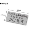 MN31006 【名入れ】名札 ネームプレート 彫刻タイプ PLUS(プラス)[文具] 75494941