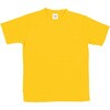 19857 ATドライTシャツ アーテック[学校教材・教育玩具] 75498206