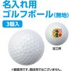 93022 ゴルフボール アーテック[学校教材・教育玩具] 75498739