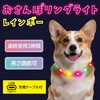 198563 おさんぽリングライト レインボー アーテック[学校教材・教育玩具] 75498800