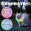 198563 おさんぽリングライト レインボー アーテック[学校教材・教育玩具] 75498800
