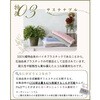 FP206802 抗菌防臭タオル 国産泉州ナチュラルカラー 林 75535446