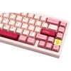 LZ65PINK ZEN 65 Lite WOBKEY 75537476